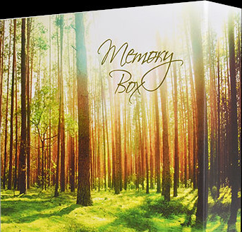 Memory Boxes